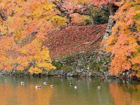 s2P2070731.jpg